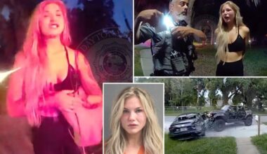 Drunk Florida woman Elizabeth Boucher arrested for DUI after Daytona Beach crash