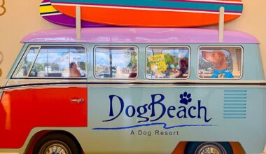 5 things to know about Casselberry’s new DogBeach Resort