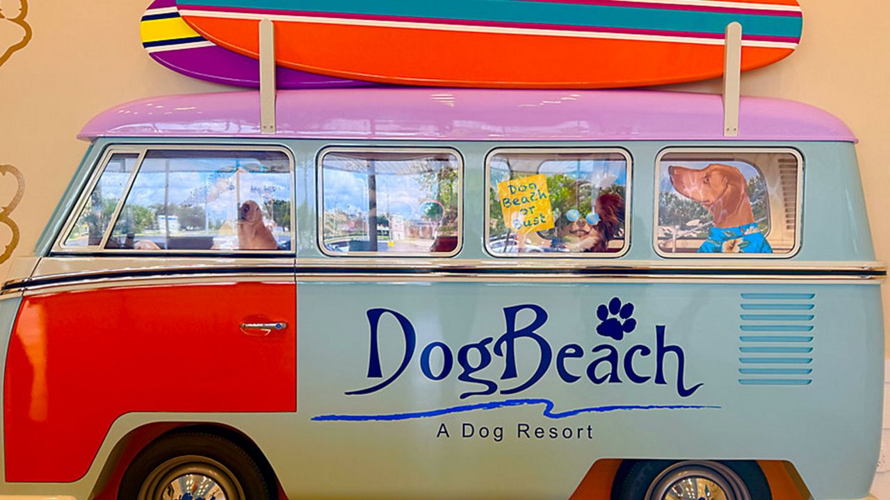 5 things to know about Casselberry’s new DogBeach Resort