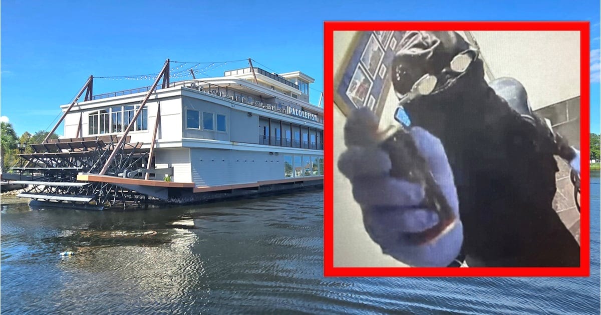 Paddlefish robbery