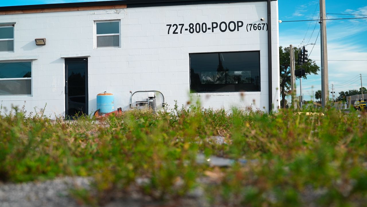 Pinellas '800-POOP' plumbing business permitting problems