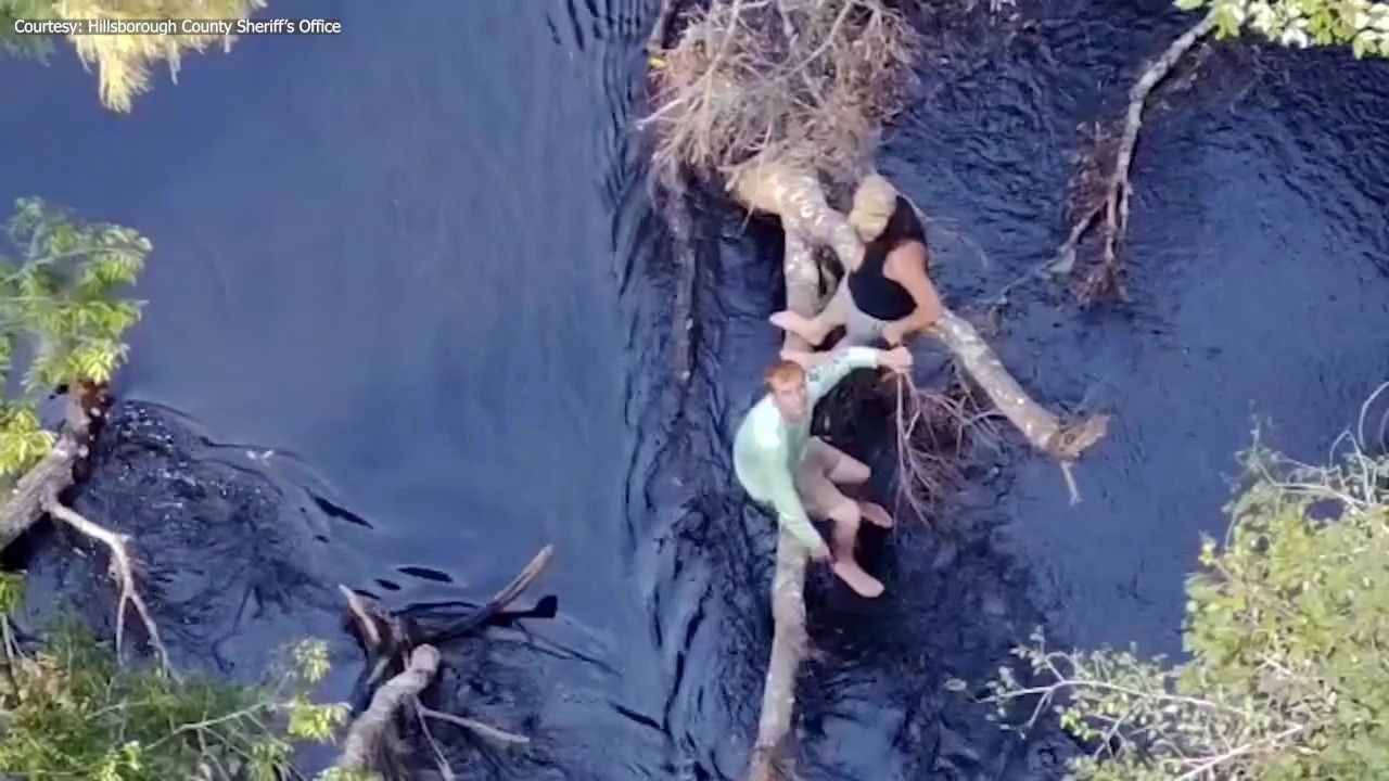 2 rescued from tree limb on Hillsborough River