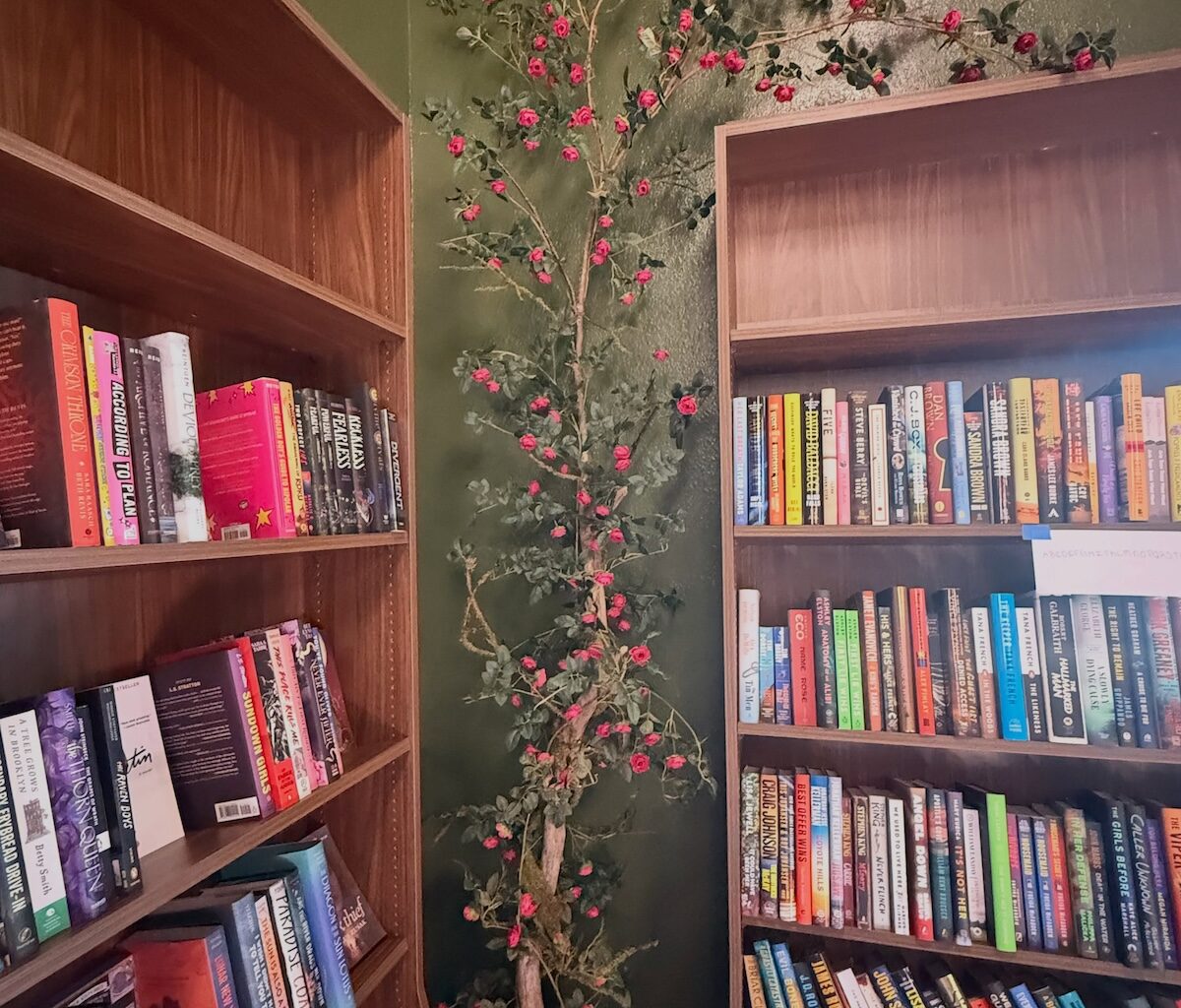 New Bookstore Reverie Room Opening in St. Petersburg