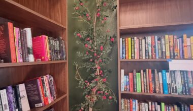 New Bookstore Reverie Room Opening in St. Petersburg