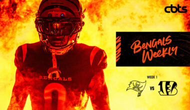 Cincinnati Bengals logo