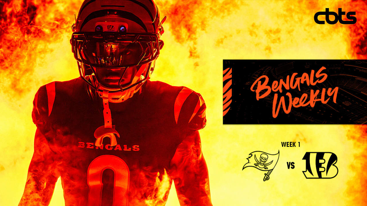 Cincinnati Bengals logo