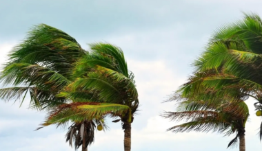Tropical System To Strengthen In Gulf, Dolly's Remnants Move Toward FL: NHC