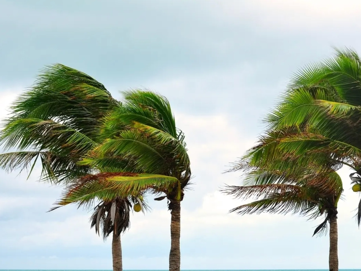 Tropical System To Strengthen In Gulf, Dolly's Remnants Move Toward FL: NHC
