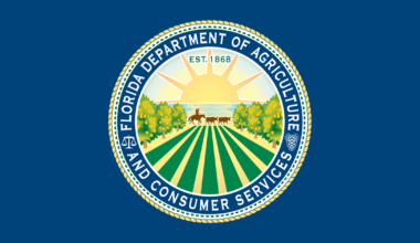 Florida Forest Service Opens 2026 Applications for Southern Pine Beetle Assistance and Prevention Program