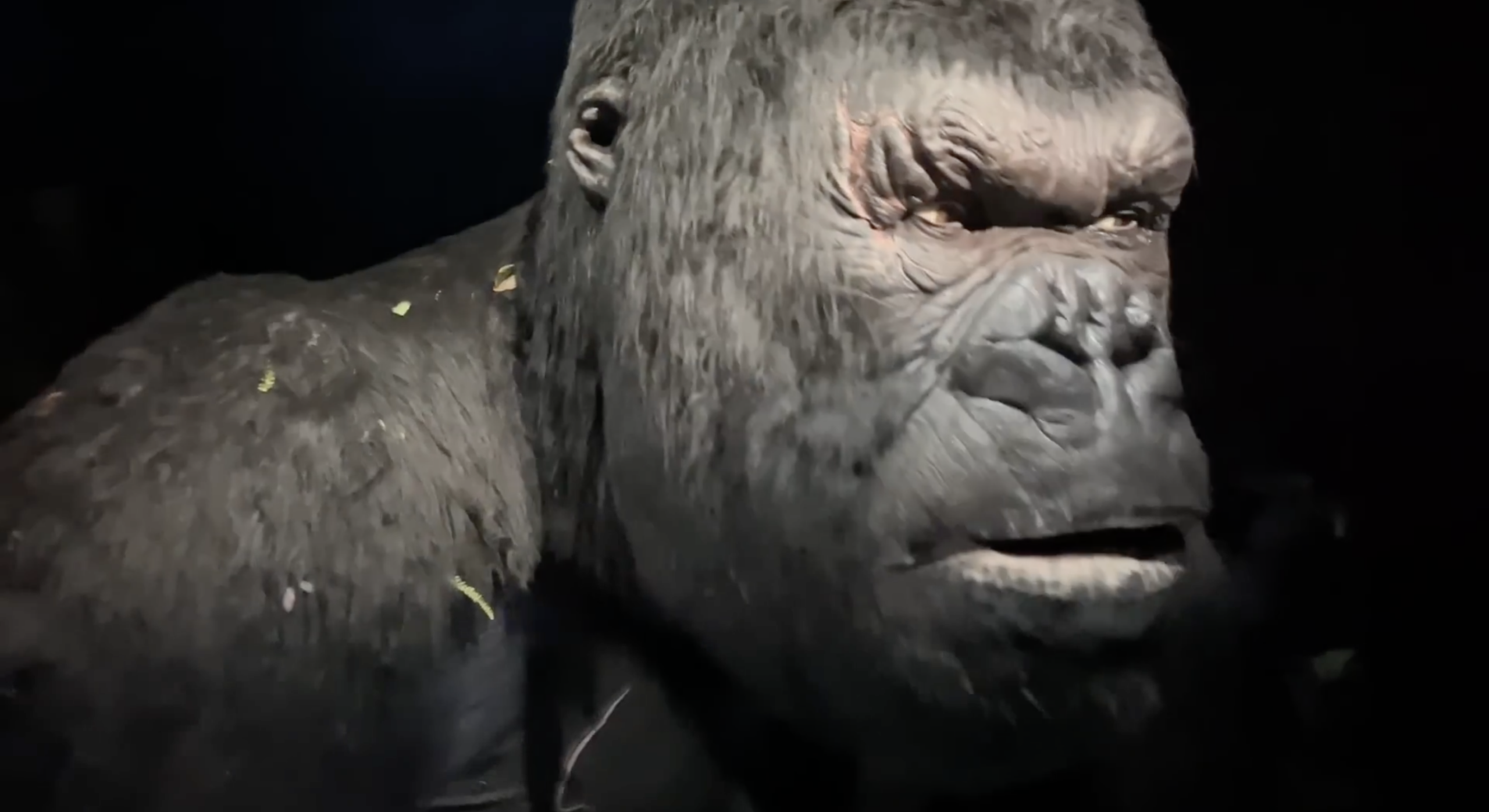 Skull Island Reign of Kong Running with Black Scrim Instead of Large Ape Animatronic