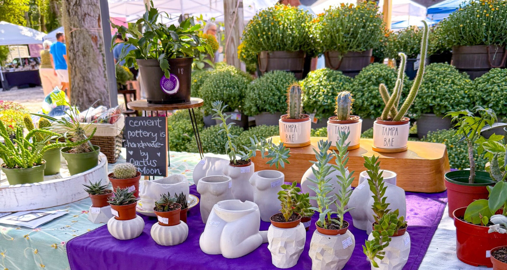plant market setup