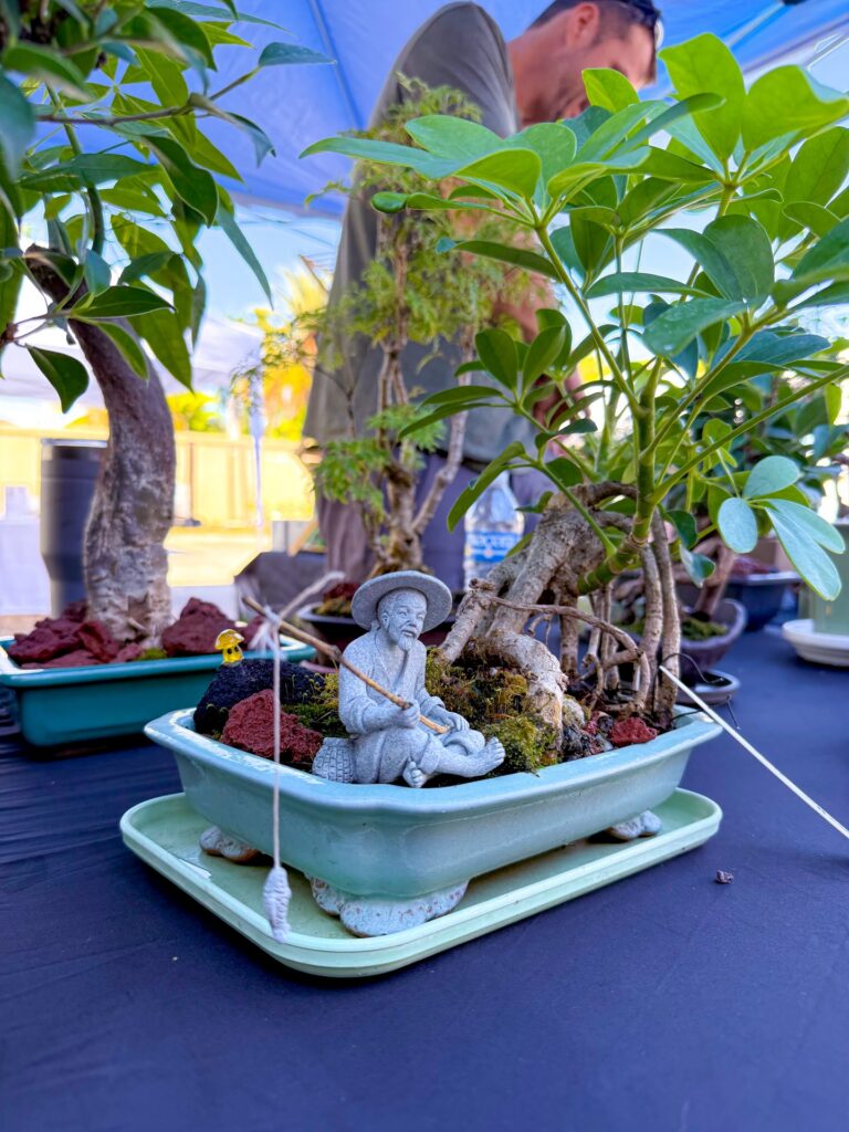 plant at Tampa Plant Market