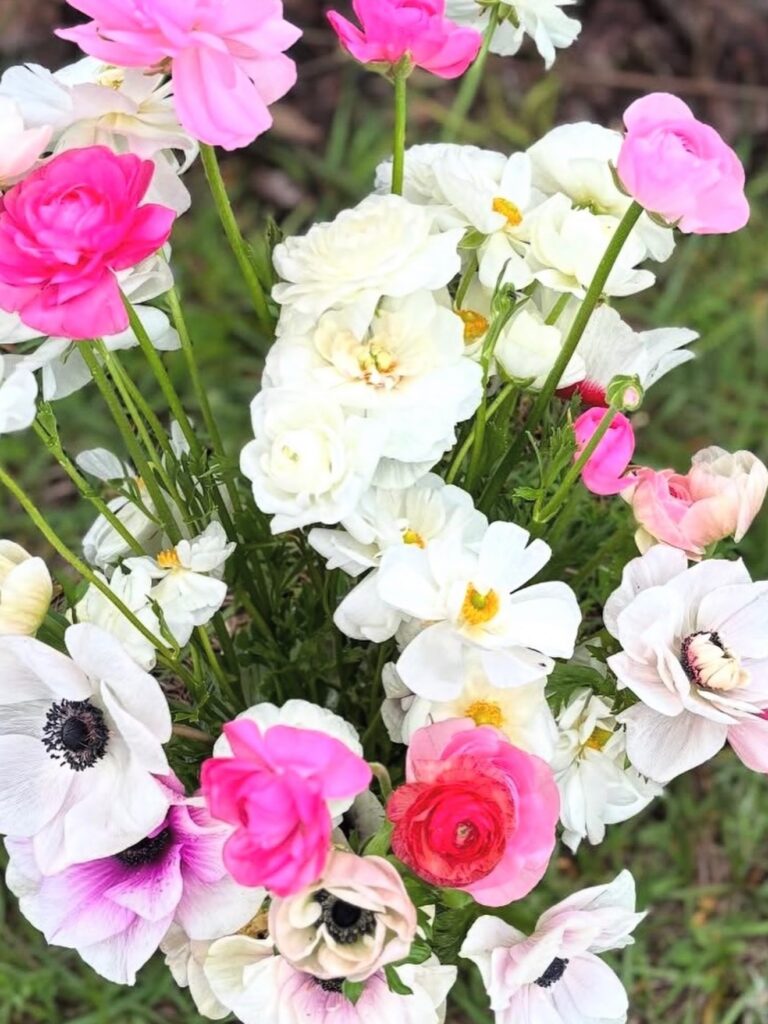 flowers from Tampa Plant Market