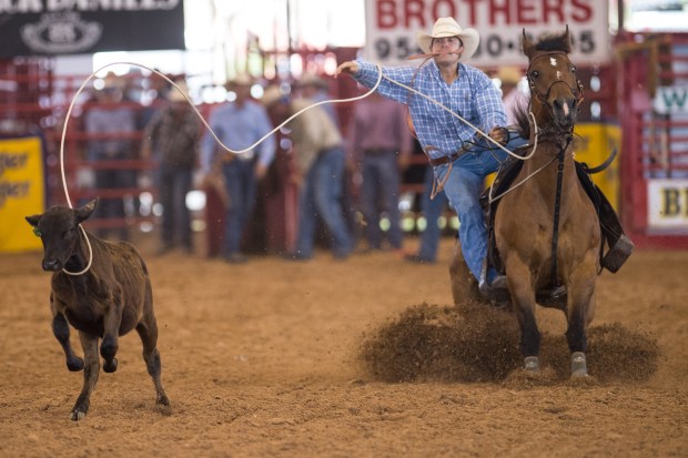 A cowboy throws a loop of rope to catch a calf during the 32nd Annual Weekley Brothers Davie Pro Rodeo for Youth Groups at the Bergeron Rodeo Grounds in Davie on Friday June 22, 2018.