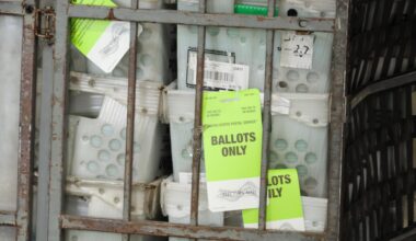 A tyrant tries to disrupt voting by mail