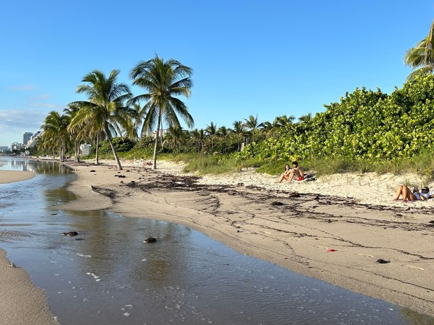 King tide flooding in Fort Lauderdale near State Road A1A north of Sunrise Boulevard on Sunday. (Courtesy/Miami Herald)