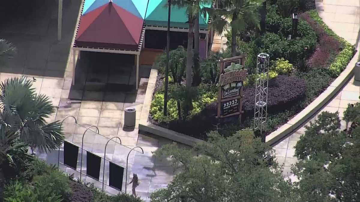 Universal Studios Orlando to close 'Animal Actors on Location!' show