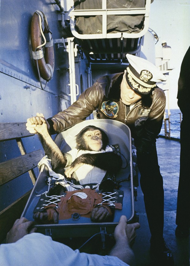 The famous "hand shake" welcome as Chimpanzee Ham is greeted by recovery ship Commander after his flight on the Mercury Redstone rocket. (NASA)