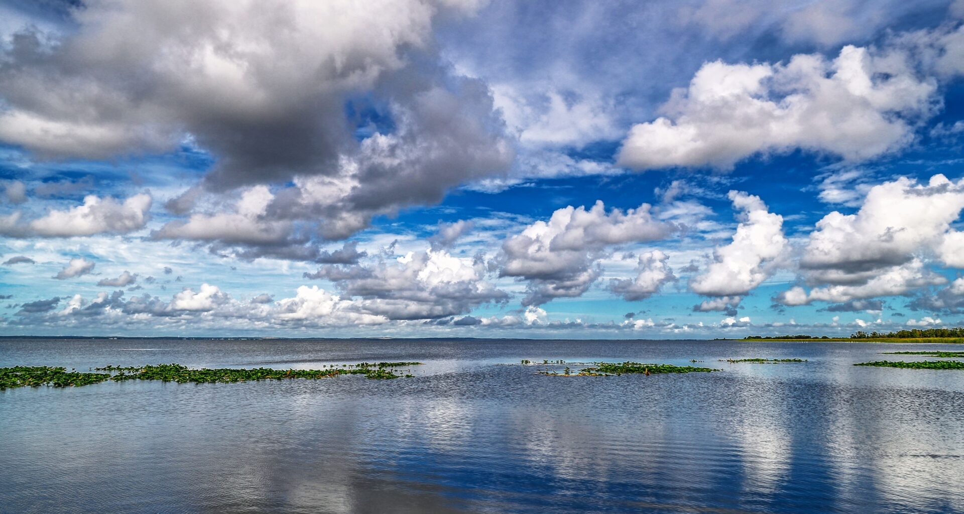 Guest Commentary: What Lake Apopka can teach Florida about restoration – Orlando Sentinel