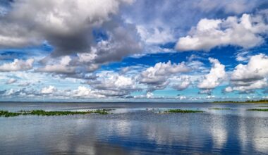 Guest Commentary: What Lake Apopka can teach Florida about restoration – Orlando Sentinel