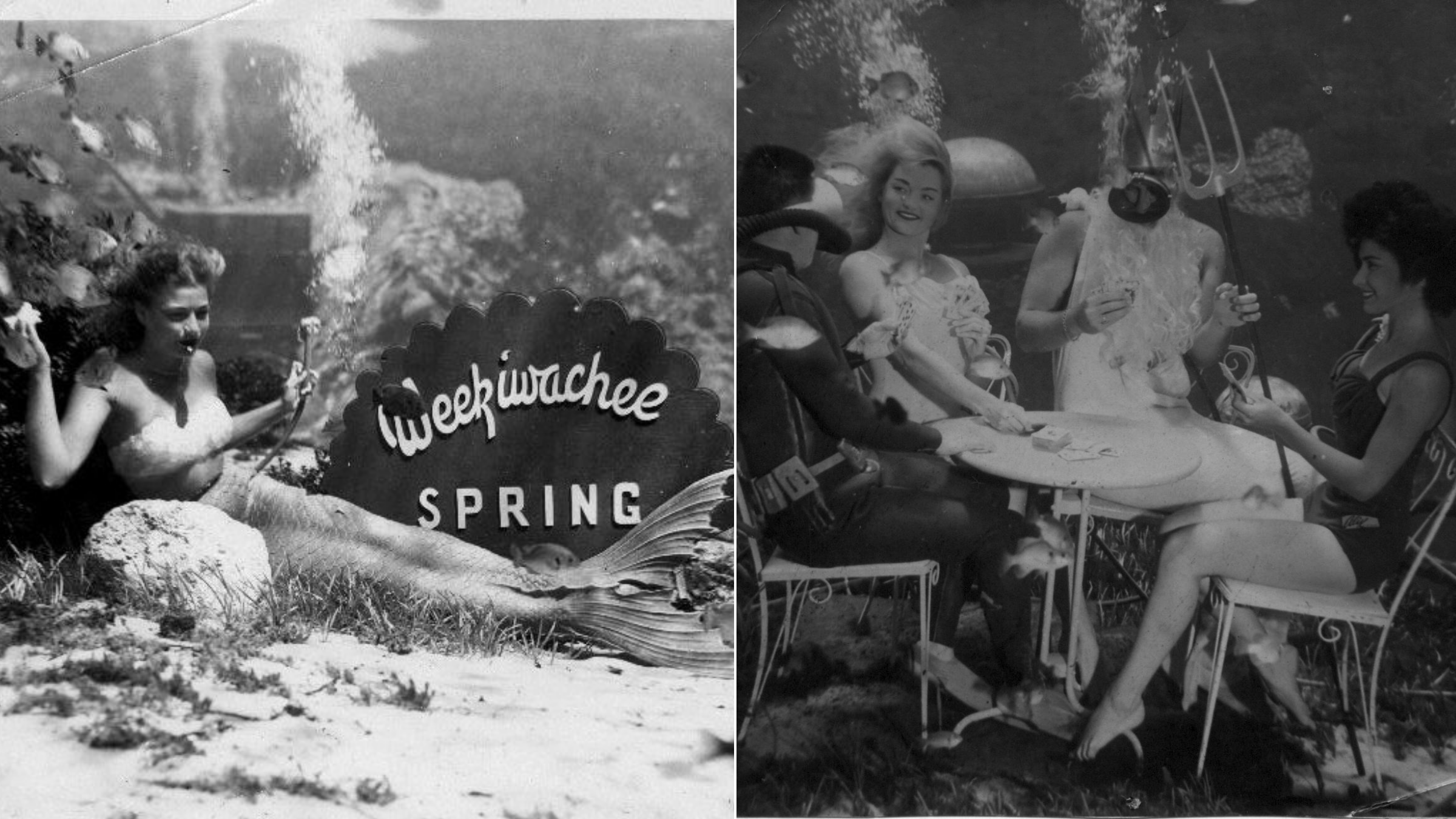 Weeki Watchee Mermaids history