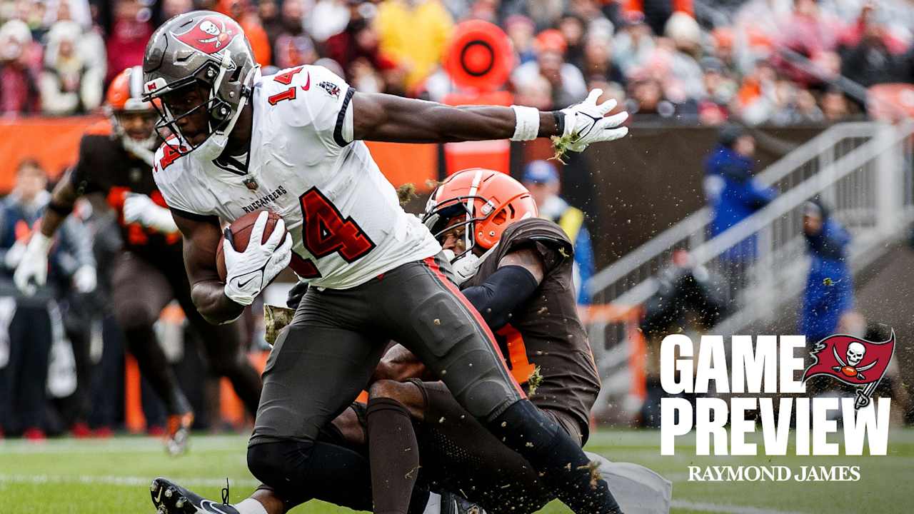 Tampa Bay Buccaneers logo