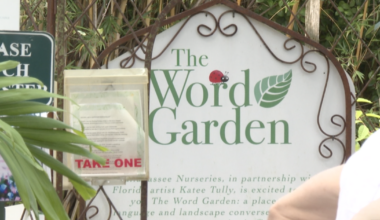 Word Garden poetry series connects Tallahassee writers