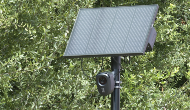 Leon County votes to remove Flock cameras from county property