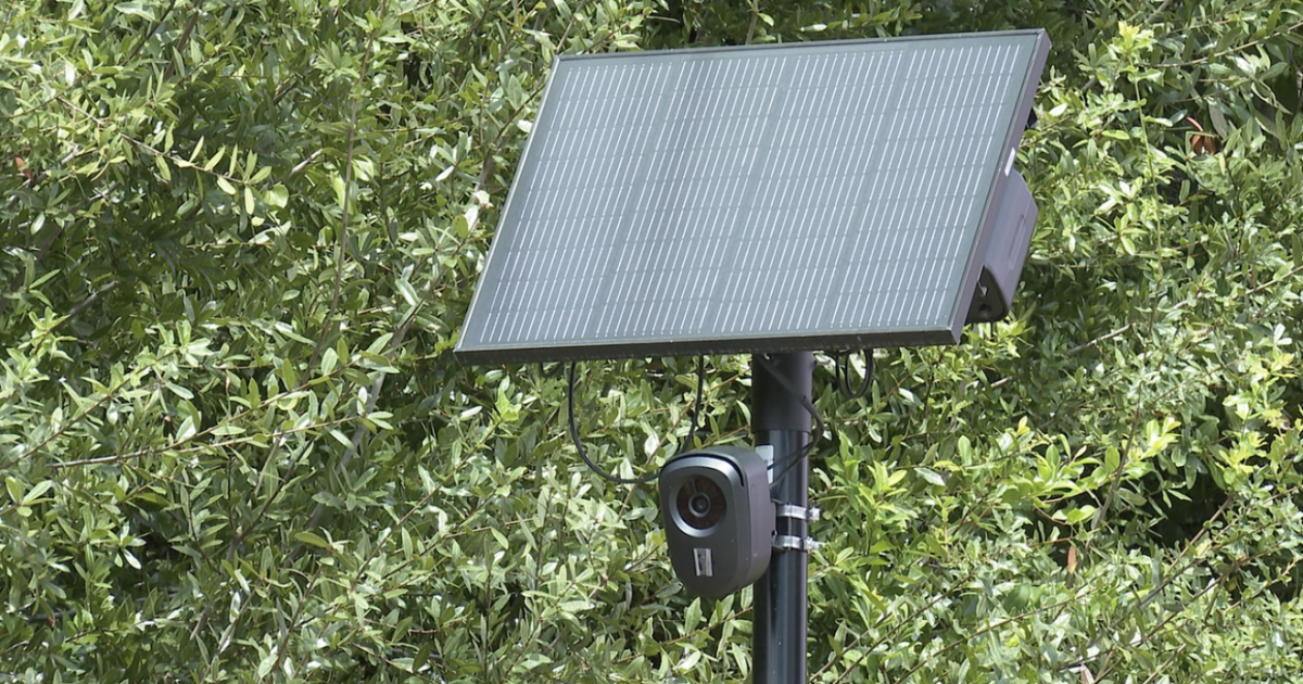 Leon County votes to remove Flock cameras from county property