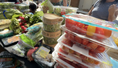 Tampa Bay mobile food program is running out of funding