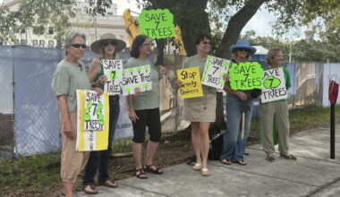 Tampa Tree Advocacy Group protests development, highlights tree canopy concerns