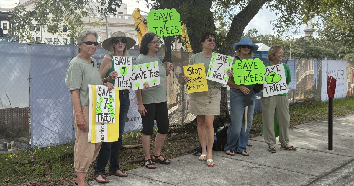 Tampa Tree Advocacy Group protests development, highlights tree canopy concerns