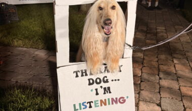 Fort Pierce Responsible Dog Ownership Day