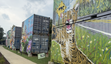Southside murals help bring the community together