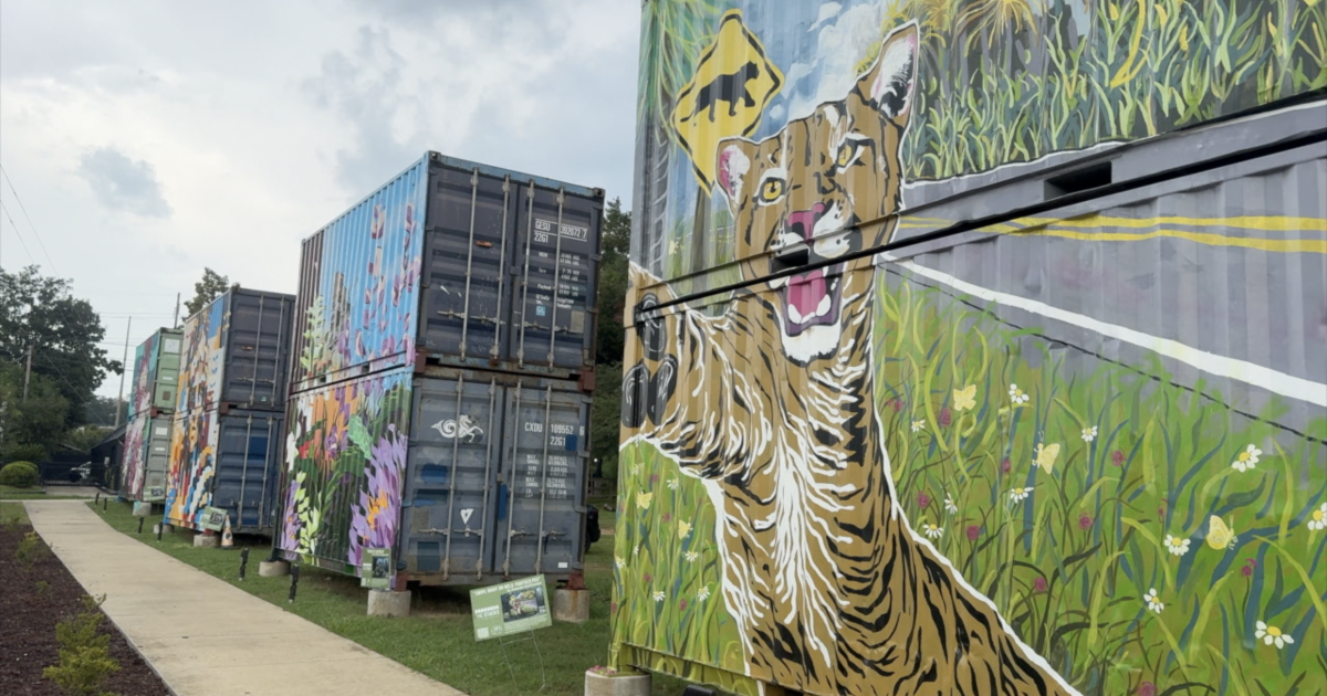 Southside murals help bring the community together