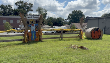 Havana's 26th annual Pumpkinfest returns next month