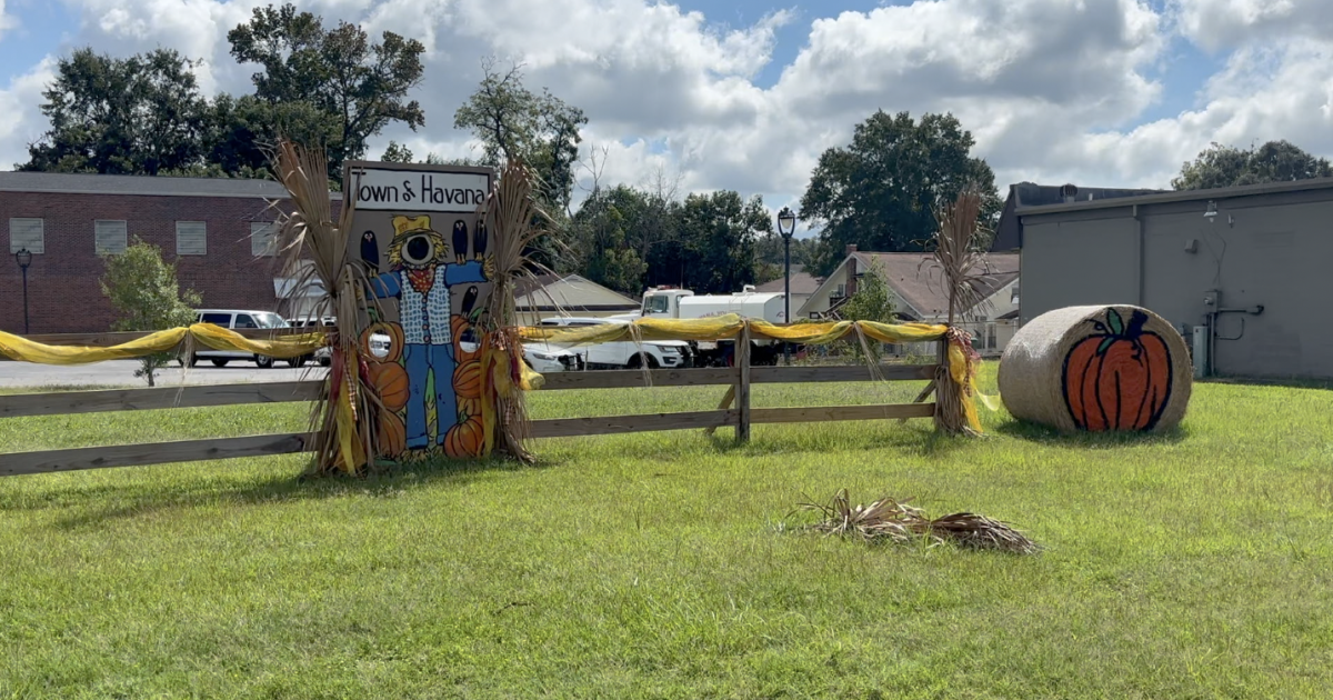 Havana's 26th annual Pumpkinfest returns next month