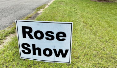 Tallahassee Area Rose Society brings annual Autumn Roses Show to Monticello