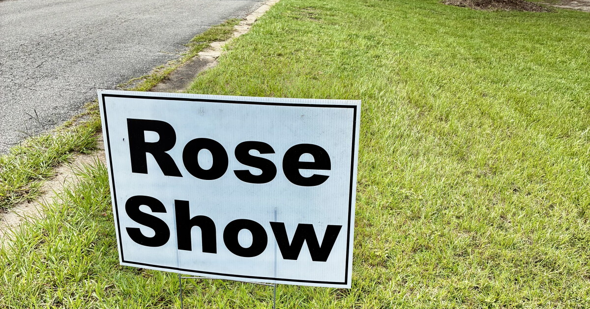 Tallahassee Area Rose Society brings annual Autumn Roses Show to Monticello