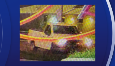 Police searching for driver after truck hits 2 pedestrians in St. Petersburg