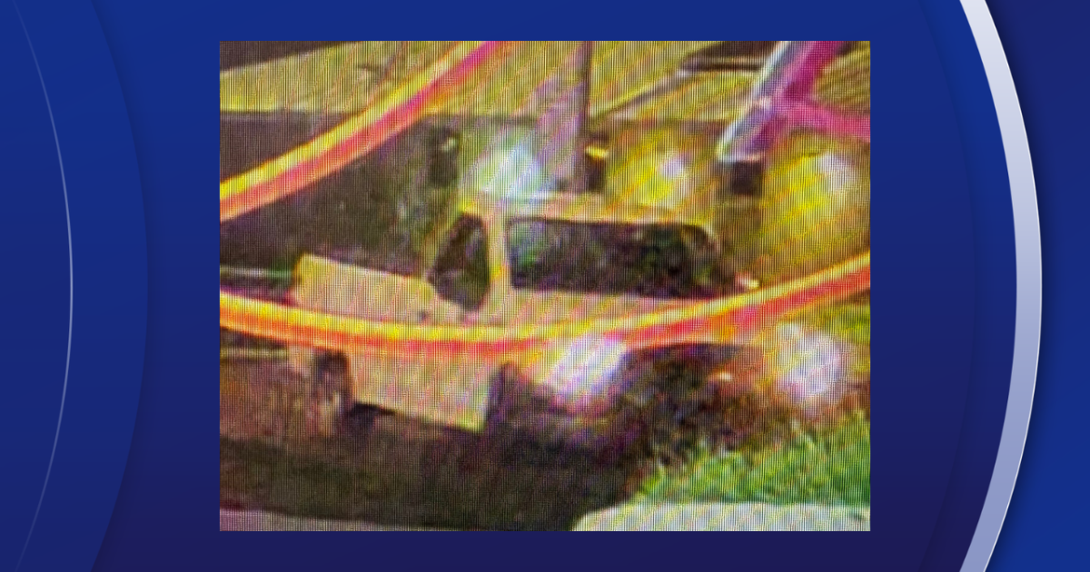 Police searching for driver after truck hits 2 pedestrians in St. Petersburg