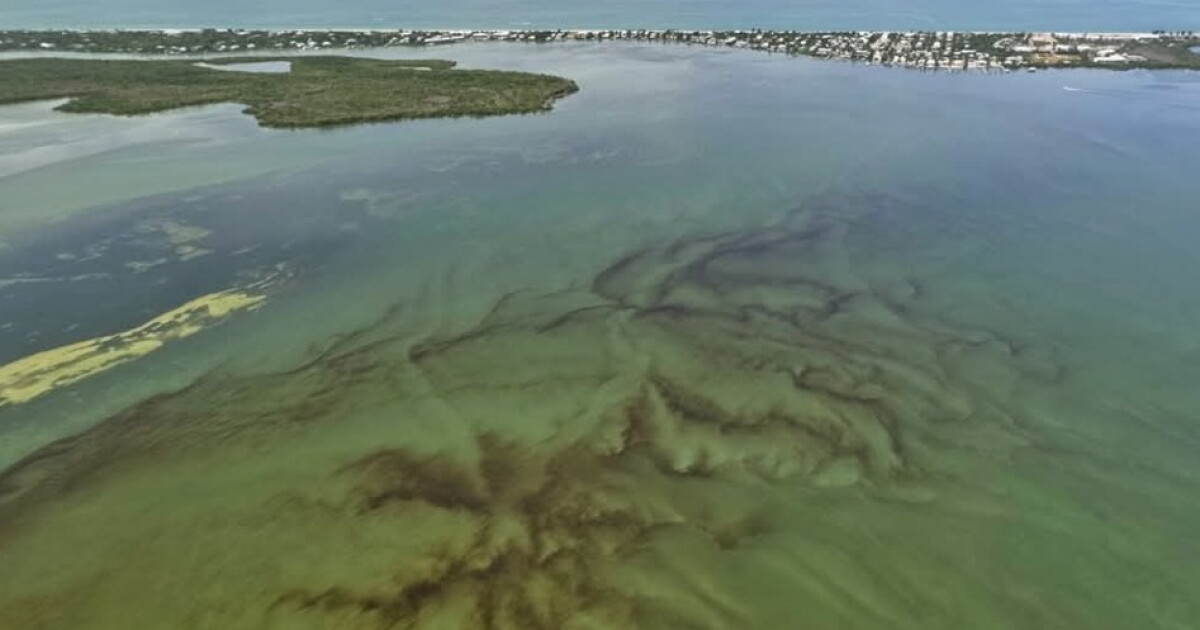 ‘Rust tide’ appears in Lee County waters near Sanibel Island, Pine Island Sound | WGCU News
