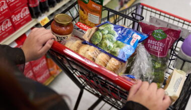 Increasing SNAP error rates could be good news for Florida (really)