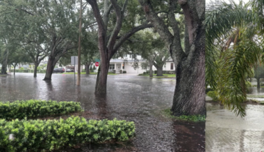 Massive stormwater project for South Tampa gets OK from city council
