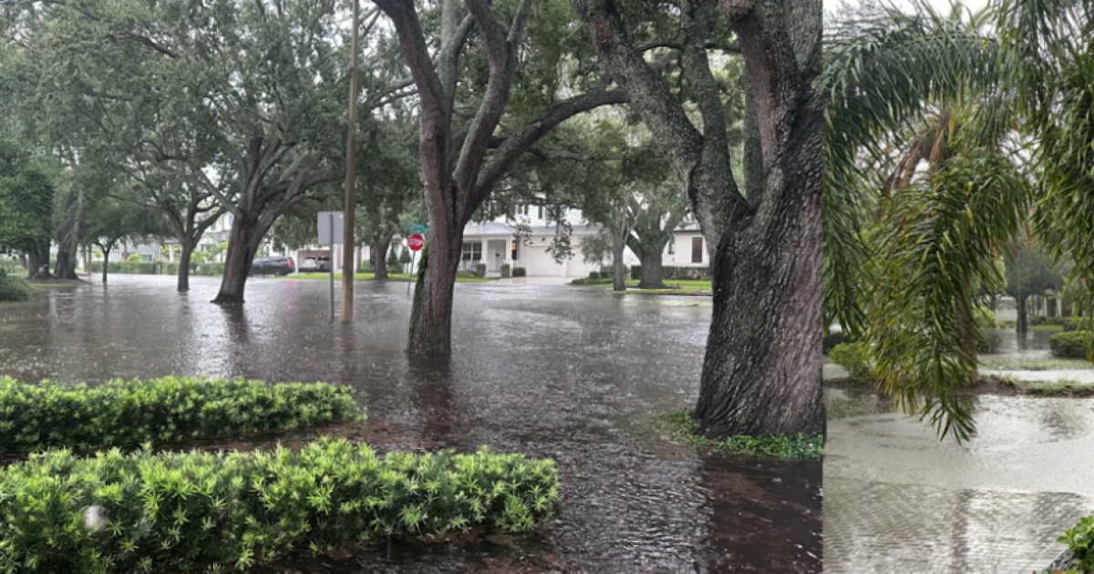 Massive stormwater project for South Tampa gets OK from city council