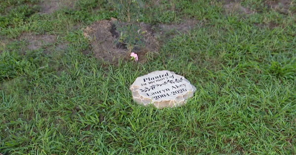 Friends, family plant tree at USF honoring nursing student killed by wrong-way driver