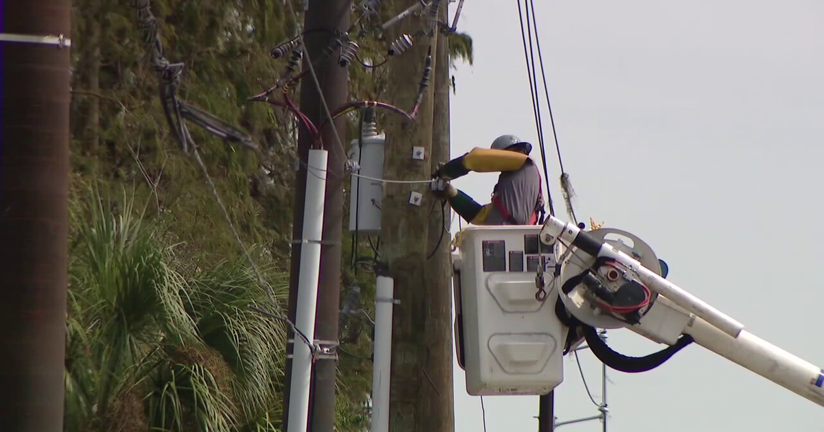 St. Pete activists push to put city-owned utility on 2028 ballot