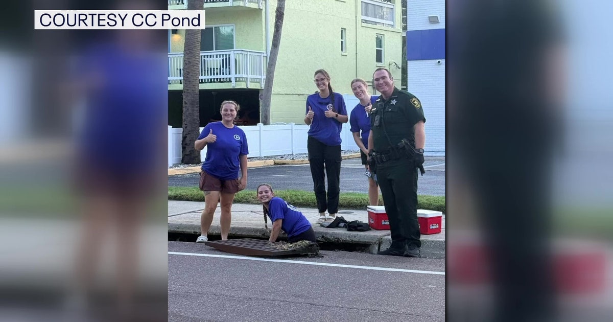 Sea turtles rescued from Indian Rocks Beach storm drain, improper lighting blamed
