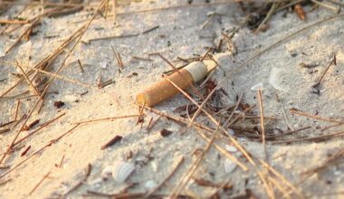 Indian Rocks Beach bans smoking and vaping on the sand