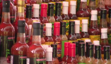26th annual 'I Like It Hot!' Festival brings spicy samples to England Brothers Park